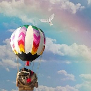 Meet your Posher, Alicia